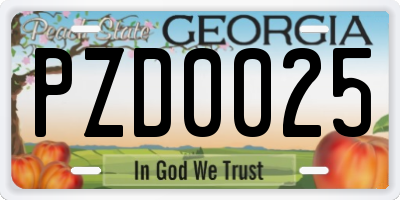 GA license plate PZD0025
