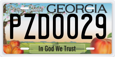 GA license plate PZD0029