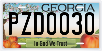 GA license plate PZD0030