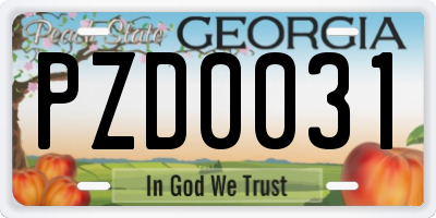 GA license plate PZD0031