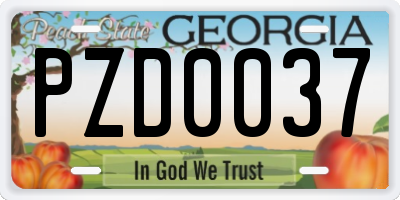GA license plate PZD0037