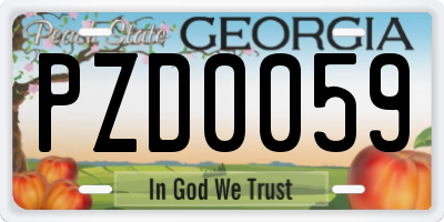 GA license plate PZD0059