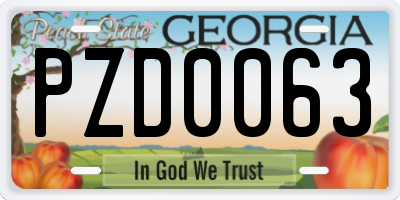 GA license plate PZD0063