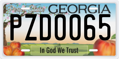 GA license plate PZD0065