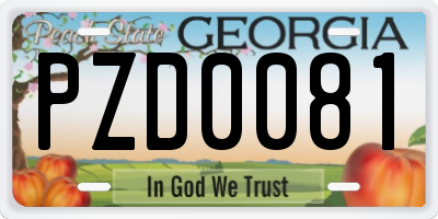 GA license plate PZD0081