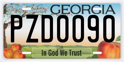 GA license plate PZD0090