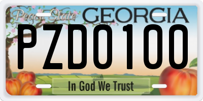 GA license plate PZD0100