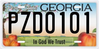 GA license plate PZD0101