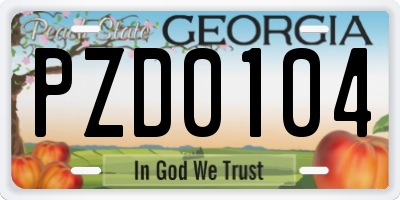GA license plate PZD0104