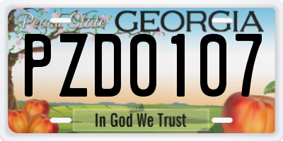 GA license plate PZD0107