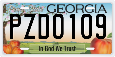 GA license plate PZD0109
