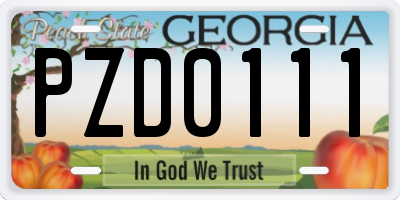 GA license plate PZD0111