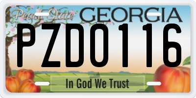GA license plate PZD0116