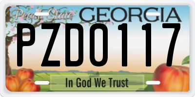 GA license plate PZD0117
