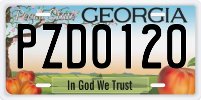 GA license plate PZD0120