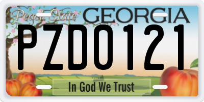 GA license plate PZD0121