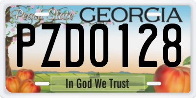 GA license plate PZD0128