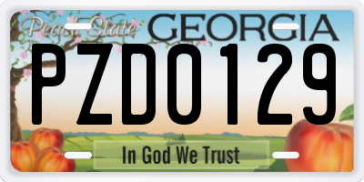 GA license plate PZD0129