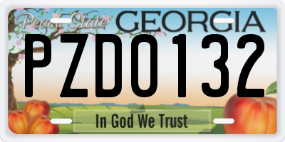 GA license plate PZD0132