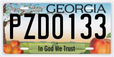 GA license plate PZD0133