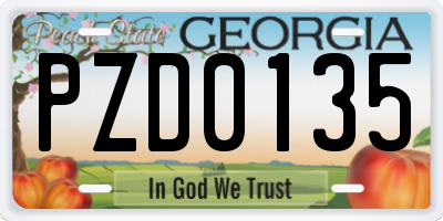 GA license plate PZD0135