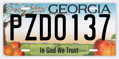 GA license plate PZD0137