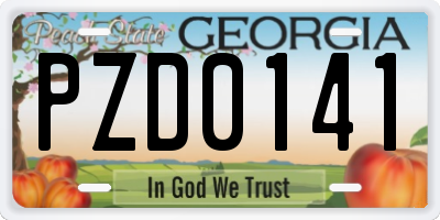 GA license plate PZD0141