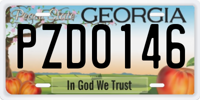 GA license plate PZD0146