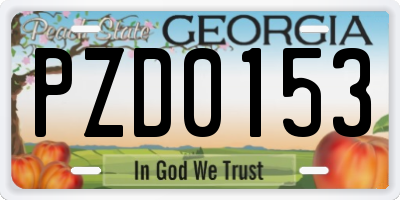 GA license plate PZD0153
