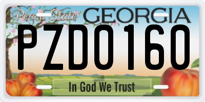 GA license plate PZD0160