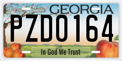 GA license plate PZD0164