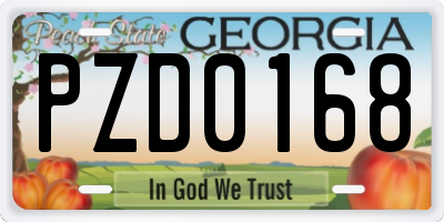 GA license plate PZD0168