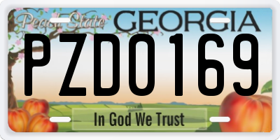 GA license plate PZD0169