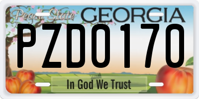 GA license plate PZD0170