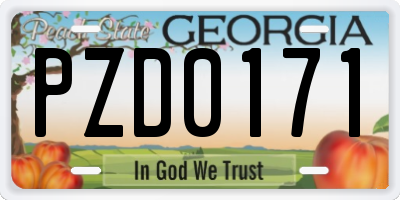GA license plate PZD0171