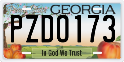 GA license plate PZD0173