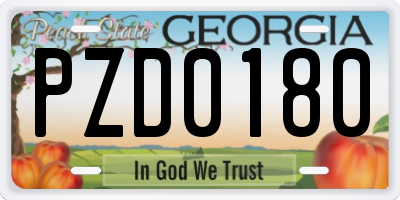 GA license plate PZD0180