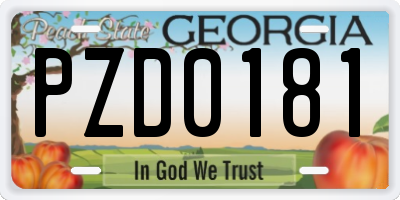 GA license plate PZD0181