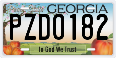 GA license plate PZD0182