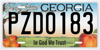 GA license plate PZD0183