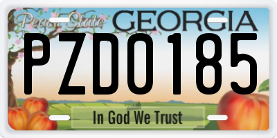 GA license plate PZD0185
