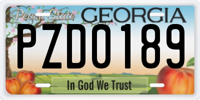 GA license plate PZD0189