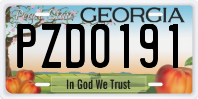 GA license plate PZD0191
