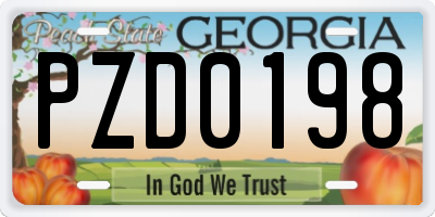 GA license plate PZD0198