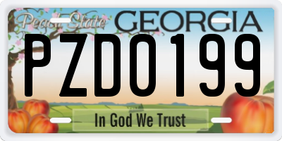 GA license plate PZD0199