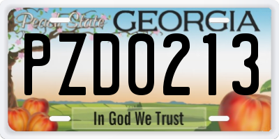 GA license plate PZD0213