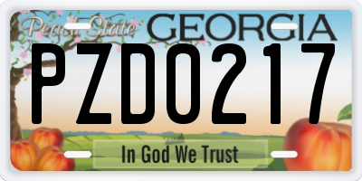GA license plate PZD0217