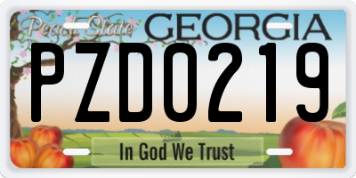 GA license plate PZD0219