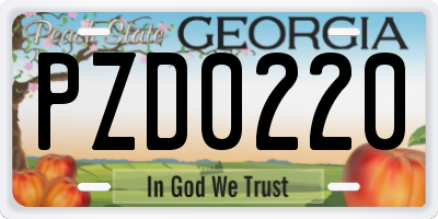 GA license plate PZD0220