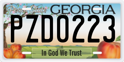 GA license plate PZD0223